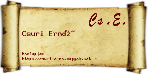 Csuri Ernő névjegykártya